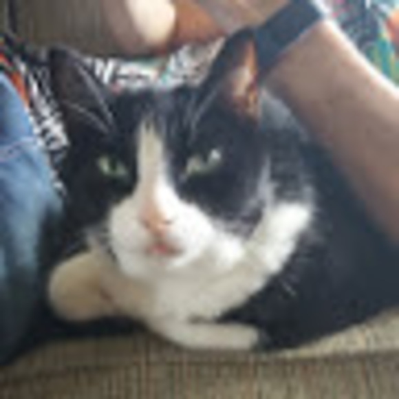 Meet your Posher, Lisa - Picture 1 of 1